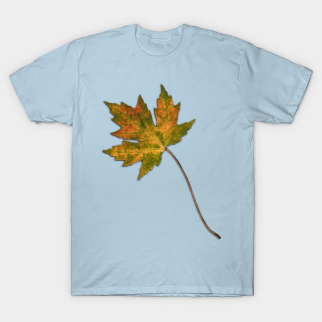 Maple leaf in autumn T-Shirt by Bwiselizzy